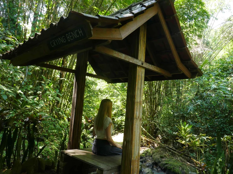 Guest sitting on crying bench in nature