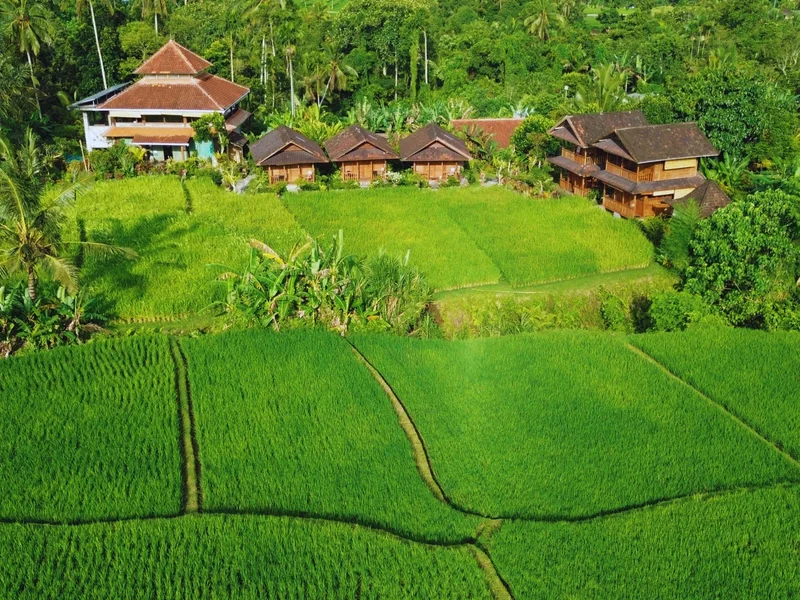 Aerial view of Bali Silent Retreat surrounded by rice fields and jungle
