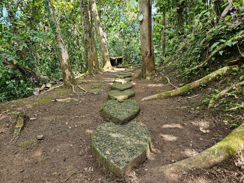Heart-shaped jungle path at Bali Silent Retreat
