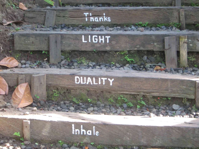 Meditation steps surrounded by nature